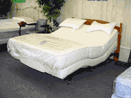 Electric Adjustable Beds