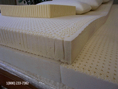 Latex Foam
