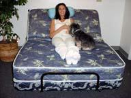 electric bed, fullsize adjustable bed organization, inc.