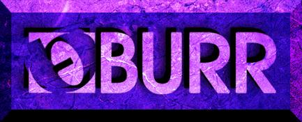 Burr BURR burr scooter lifts wheelchait lifts van lifts motorhome lifts