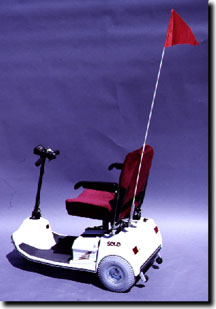 Electric Scooter Pennant, Electric Scooter Flag